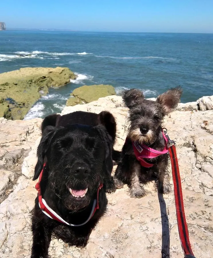 弗兰伯勒Pet Friendly Sea View Static At Thornwick Bay别墅 度假居 弗兰伯勒