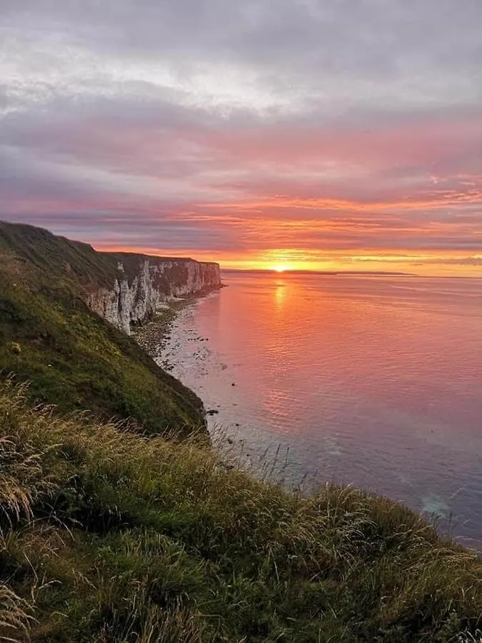 Holiday home Pet Friendly Sea View Static At Thornwick Bay Villa Flamborough